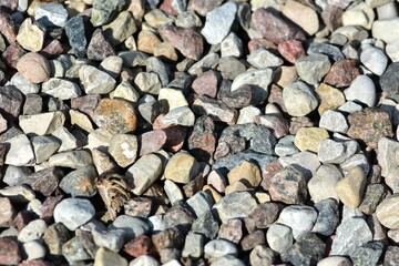 Small rocks pattern and texture background. Tiny stones gravel background.