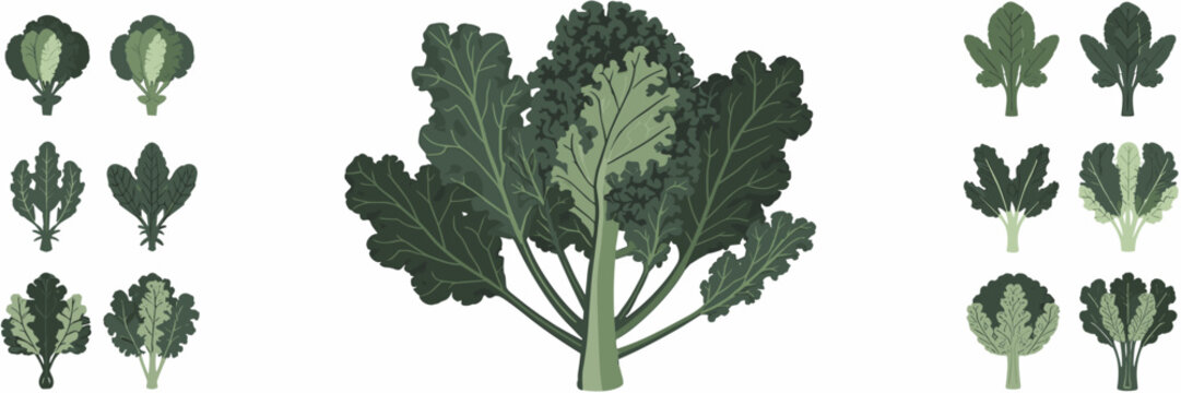 Kale head with detached leaves and insect – Perfect for gardening content, health blogs, or farm-to-table marketing