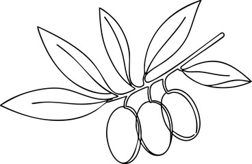 Olive branch with three olives simple black line drawing vector illustration 