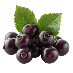 Nannyberry isolated on transparent background.