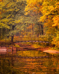 autumn in the park