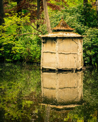 Old cabin on the water