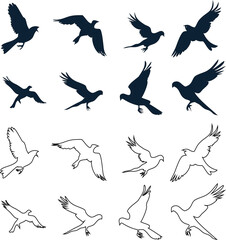 flying  bird outline and flat silhouette vector icon set  of dove, pigeon, parrot or eagle, conveying peace, freedom, and soaring wings.