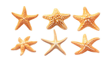 Pack Collection Six Orange Starfish on Black Background Marine Life Ocean Animals Sea Stars set against transparent background
