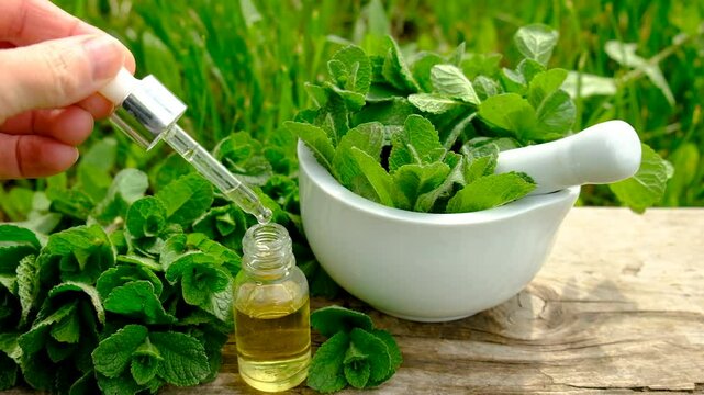 Peppermint extract essential oil and supplements. Selective focus.
