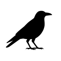 Obraz premium Black Crow Silhouette on White Background