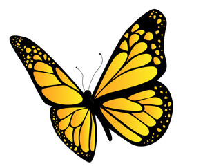 bunter Schmetterling, transparenter Hintergrund, Vektor