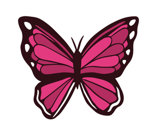 bunter Schmetterling, transparenter Hintergrund, Vektor