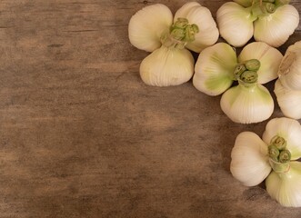 Fresh garlic heads on wooden background with space for text