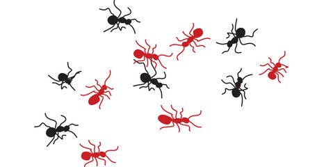 Red and black ants scattered on a white background – a simple and colorful illustration of ants, representing nature, teamwork, or insect life.


