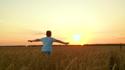 Boy run through field towards sunset. Teenage boy running with his arms raised, through wheat field. Child boy dream of traveling in nature. Child boy playing superhero in wheat field, child dream fly