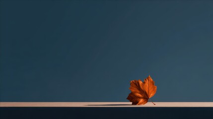 Solitary autumn leaf on minimalist surface with dark blue background
