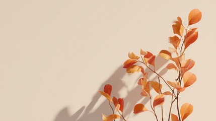 Autumn leaves on beige background with shadows emphasizing seasonal change and elegance