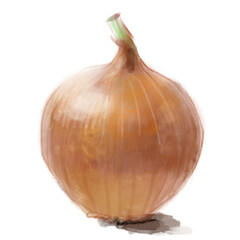 Onion, Watercolor, Cooking Ingredient