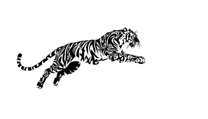 tiger on white background