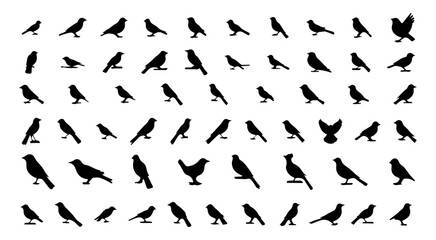 Bird Silhouette Icon Set – Flying, Sitting, and Perching Birds Vector Collection