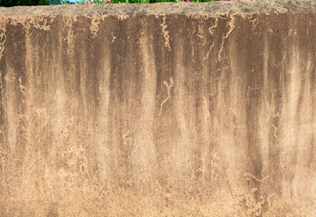 Fototapeta premium Damaged wall mould