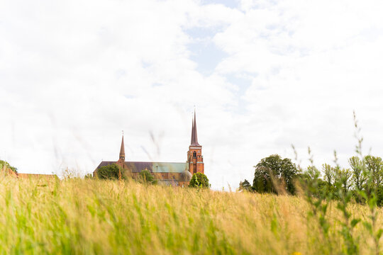 Roskilde Cathedral in a Rural Landscape with Fields