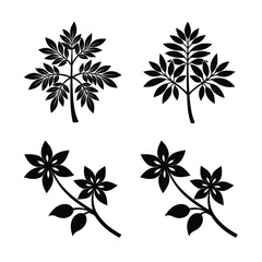 Palash flower branch and tree bundle