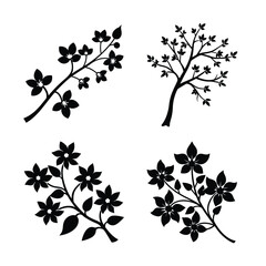 Palash flower branch and tree bundle