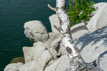 The abandoned Korostyshiv quarry, with its deep blue waters and rugged cliffs, has become a scenic spot for recreation, fishing, and swimming.