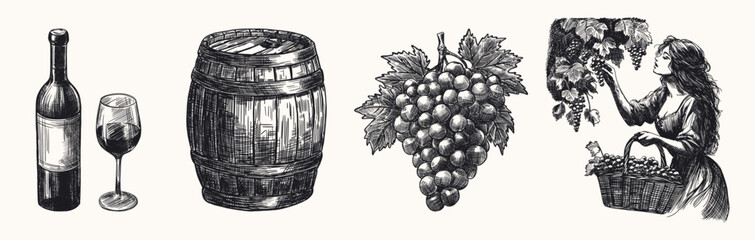 traditional winemaking elements set isolated hand drawn sketch line art element with wine bottle filled glass wooden barrel bunch of grapes woman harvesting grapes into basket from vine vineyard