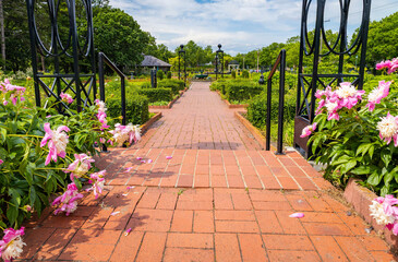 Scenic view of vivid flowers at Munsinger Gardens in Summer