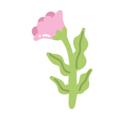 Cheerful floral vector featuring pink tulip in full bloom. Decorative elements and soft pastel colors create a romantic and fresh seasonal mood.