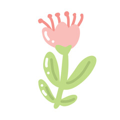 Cheerful floral vector featuring pink tulip in full bloom. Decorative elements and soft pastel colors create a romantic and fresh seasonal mood.