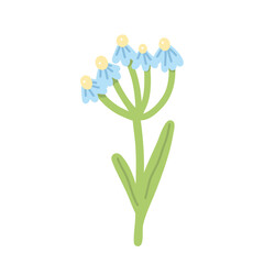 Colorful illustration in stylized spring blooming with blue daisy flower with several buds. This vector illustration conveys the harmony of nature and is perfect for gardening themes, wall art or flor