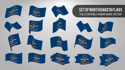 Vector Set of North Dakota Flags