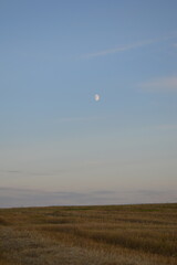moon in the sky in summer