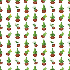Cactus in a clay pot. Exotic plant. Seamless pattern. Vector illustration.