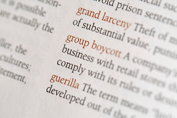 Detail of a Book Page with Definitions of 