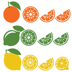 Orange Lemon Lime Citrus Fruit Slices Whole Graphic