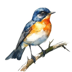 Birdwatching Watercolor Illustration _ Ornithologist with binoculars and birds in watercolor, isolated PNG for wildlife education or birdwatching clubs.