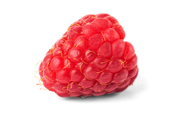 red raspberries close up on white background