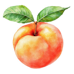 Peach with Leaves Watercolor Illustration _ Ripe peach fruit with green leaves, watercolor style, transparent PNG for healthy food branding or summer promotions.