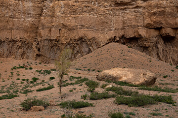This is a beautiful view of Charyn Canyon, featuring rocky cliffs, sparse vegetation, and a large boulder under a partly cloudy sky