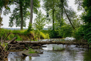 Summer landscape with small river in Valkenburg aan de Geul, The Geul is a river in Belgium and in...