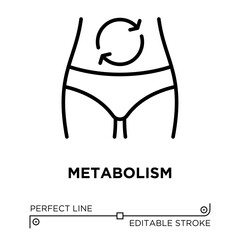 The line icon vector illustrates metabolism or digestion process. The line icon is isolated on a transparent background and can be edited as needed