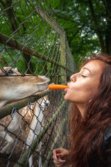 A woman with red hair feeds a spotted deer through a chain link fence using a carrot. The scene is...
