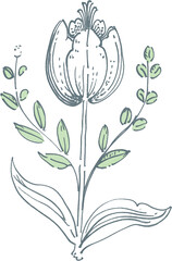Hand drawing flowers elegant illustration