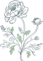 Hand drawing flowers elegant illustration