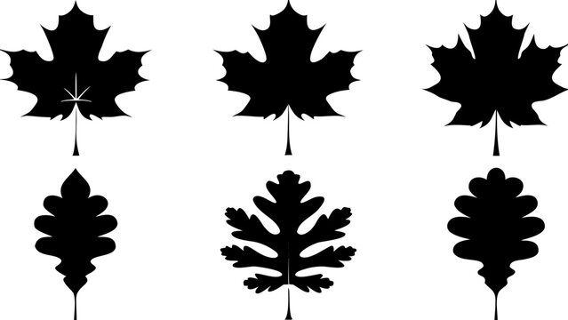 Fall in love with these leaf silhouettes: maple and oak leaves are calling you