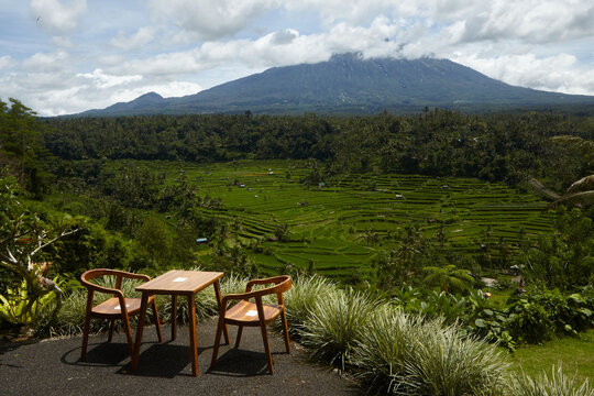 Idyll on the Terraces