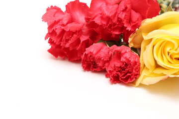 白背景のカーネーションと薔薇の花束