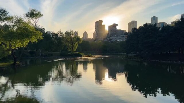 Lake park view, swimming ducks and behind modern buildings silhouette at sunset in Istanbul, Turkey. (4K video)