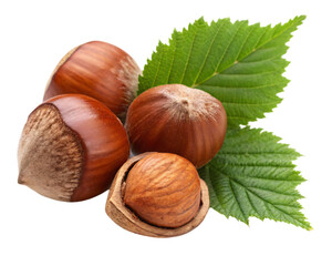 Hazelnut kernels and leaves, isolated PNG transparent background