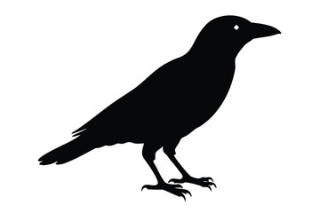 Fototapeta premium crow silhouette vector icon